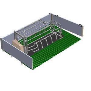 Wurfkäfig für Schweine 1