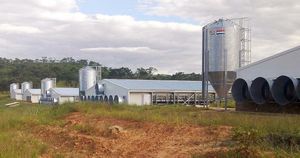 Silo für Tiernahrung