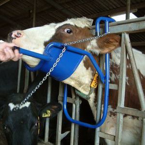 MUALROUS Tränkebecken Für Rinder Automatische Waterer Bowl Edelstahl