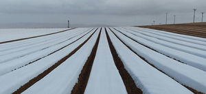 Mulchleinwand mit UV-Filter