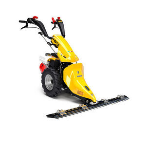 Motormäher 1