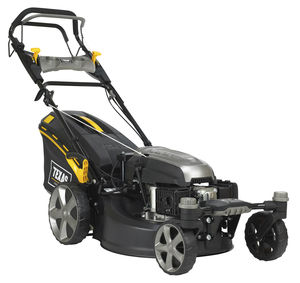 Benzin-Rasenmäher - alle Hersteller aus dem Bereich der Landwirtschaft