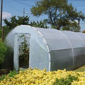 Tunnel-Gewächshaus 1