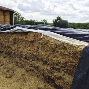 Silagefolie