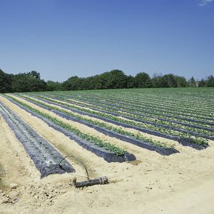 biologisch abbaubare Mulchleinwand