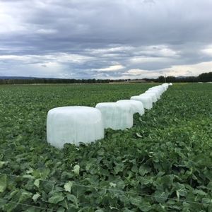 Silagefolie