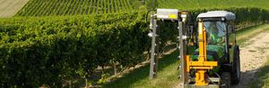 Schneidemaschine für Weinbau 1