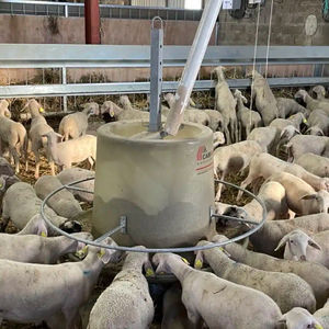 Futtertrog für Lämmer