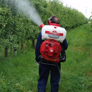 Rückenspritze mit Verbrennungsmotor