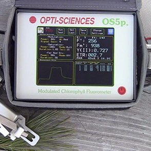 Fluorometer