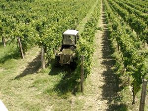 Schmalspurtraktor