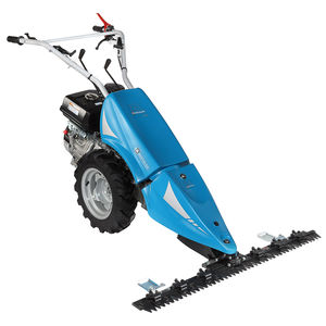 Motormäher 1