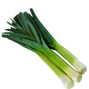 frühe Porreesaaten