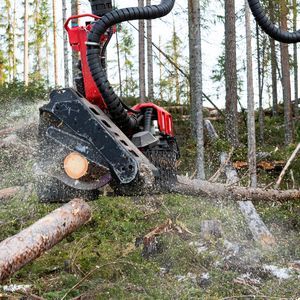 Harvester Aggregat / mit Entaster 1