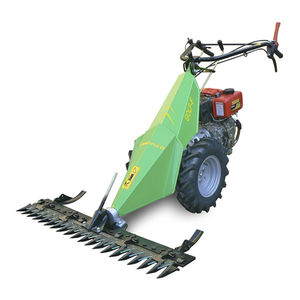 handgeführter Rasenmäher / Benzin / Diesel
