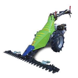 handgeführter Rasenmäher / Diesel / Benzin