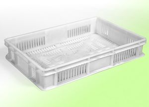 Gemüsebox 1