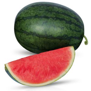 frühe Wassermelonensaaten