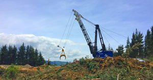 Mastkabel / Zum Rücken in Hanglagen und Gefällen