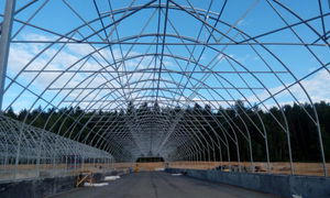 Tunnel-Gewächshaus / für Produktionszwecke / Kunststoff / mit seitlicher Belüftung