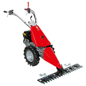 Motormäher 1