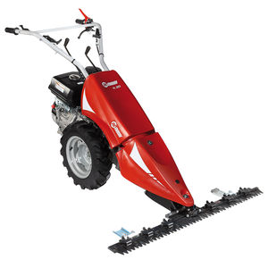 Motormäher 1