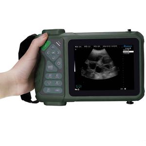 Veterinär-Ultraschallgerät / Handgerät