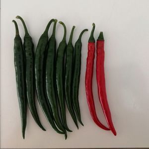 rote Paprikaschotensaat