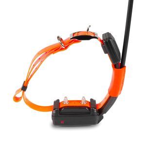 GPS-Halsband 1