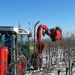 Weinreben-Schneidemaschine