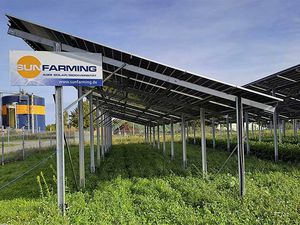Glas-Solarmodul