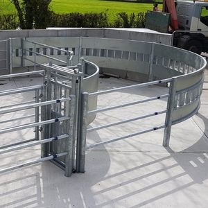 Behandlungskäfig für Kühe 1