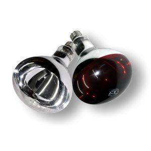 Infrarotheizbirne 1