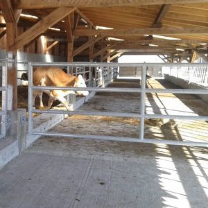 Schranke für Stallhaltung