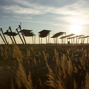 Agri-PV-Struktur / für Anbau