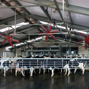 Ventilator für Landwirtschaftsgebäude
