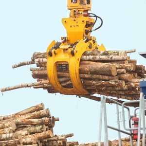 Rundholzzange für Forstwirtschaft