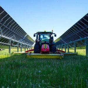 Agri-PV-Struktur / für Anbau