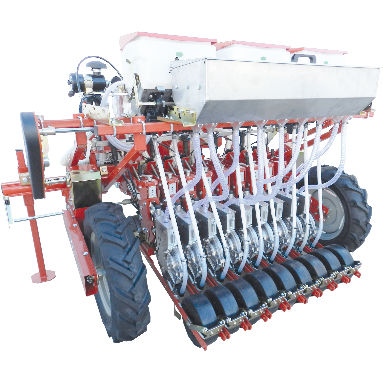 Trichter-Einzelkornsämaschine - SN-3-130 - Agricola Italiana S.n.c. - 3 Reihen / Gemüse / traktormontiert