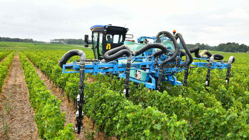 Angebautes Sprühgerät - CRUIS'AIR 7000 / 8000 - BERTHOUD - mit Eigenantrieb / für Weinbau / hydraulisch