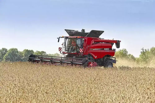 Flexibler Erntevorsatz - 3020 - CASE IH - Getreide / Bohnen / mit Hydraulikregelung