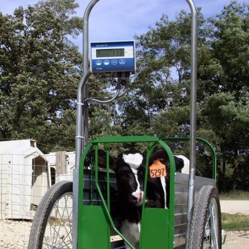 Waage für Kühe - Caf Cart® - Digi-Star International - digital / mobil / mit Käfig
