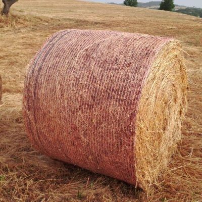 Verpackungsnetz - EUROFILATI Srl - HDPE / für Ballen / mit Farbkodierung