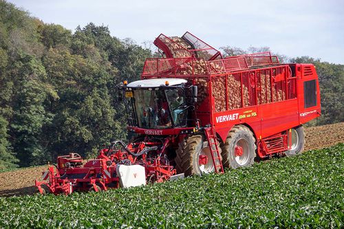 Knollensellerie-Erntemaschine - Beet Eater EVO 625  - Frans Vervaet B.V. - Zuckerrüben / mit Eigenantrieb / Entblätterer