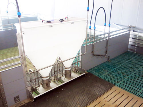 Tränke für Schweine - Meier - Brakenberg GmbH & Co. KG - Kunststoff / Stahl / hängend