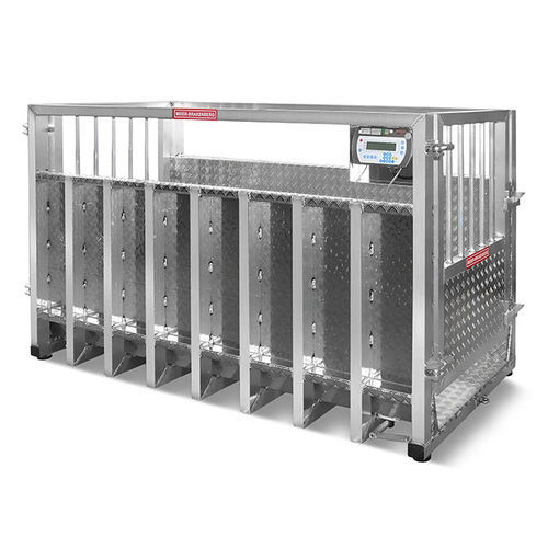 Waage für Rinder - Meier - Brakenberg GmbH & Co. KG - Schweine / für Pferde / digital