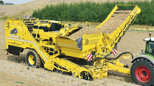 Kartoffelroder - Keiler 2 RK21 - ROPA Fahrzeug- und Maschinenbau GmbH - gezogen / 2 Reihen