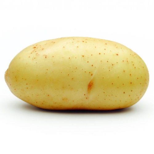 Mittelfrühe Kartoffelsaat - Ultra - Solana GmbH & Co. KG - Verzehr / Lange / Kartoffelkrebsresistent