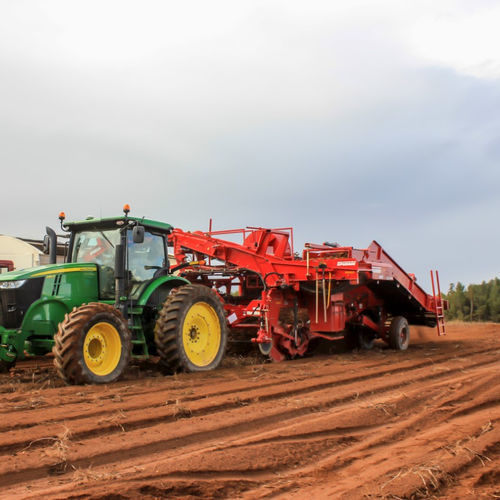 Erntemaschine / 3 Reihen - 6630 - Spudnik Equipment Company LLC - Gemüse / gezogen