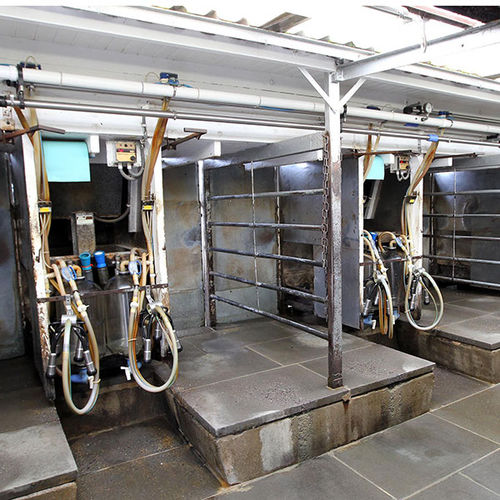 Zulauftrichter für Rinder - Abreast  - ATL - Agricultural Technology Ltd. - Stahl / einfacher Zugriff / zur Wandbefestigung